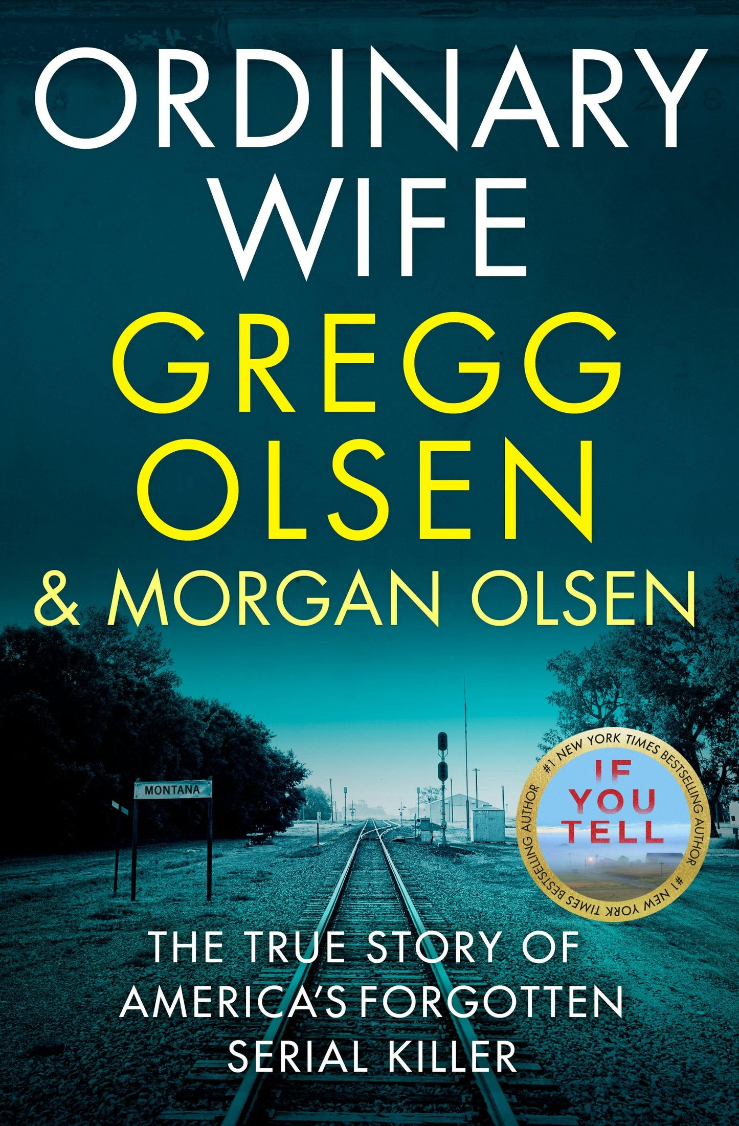 Book cover image for Ordinary Wife ISBN: 9781918505030