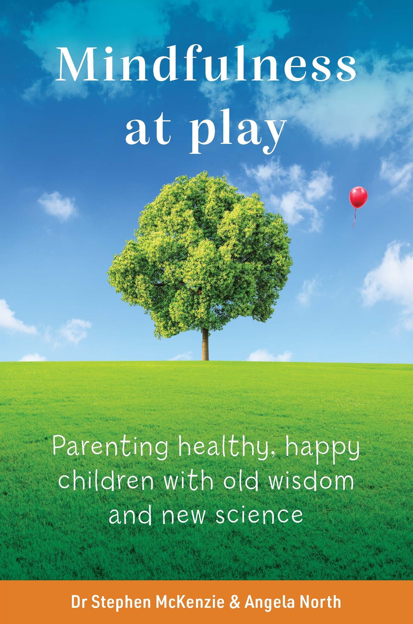 Cover image for Mindfulness at Play ISBN 9781922539632