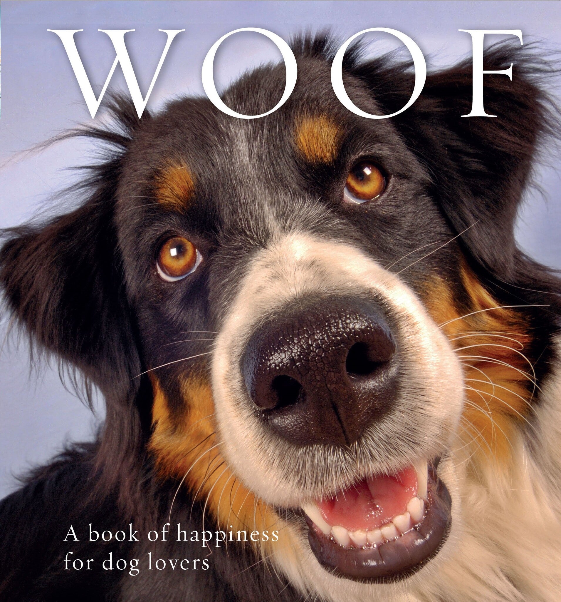 Cover image for Woof ISBN 9781925335095