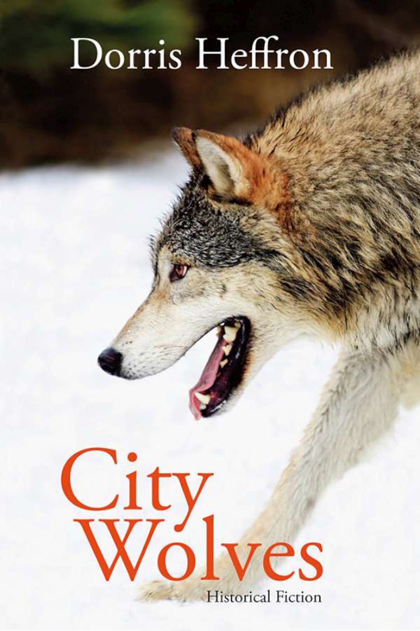 Cover image for City Wolves ISBN 9781926577012