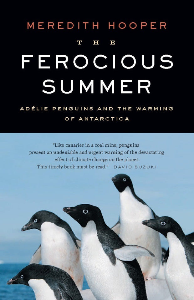 Cover image for The Ferocious Summer, isbn: 9781926685465
