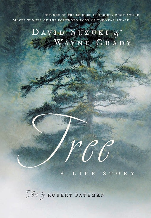 Book cover image for Tree ISBN: 9781926685533