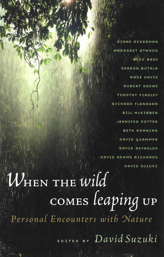 Book cover image for When the Wild Comes Leaping Up ISBN: 9781926706153