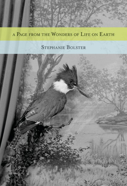Book cover image for A Page from the Wonders of Life on Earth ISBN: 9781926829708