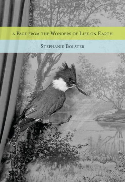 Cover image for A Page from the Wonders of Life on Earth, isbn: 9781926829708