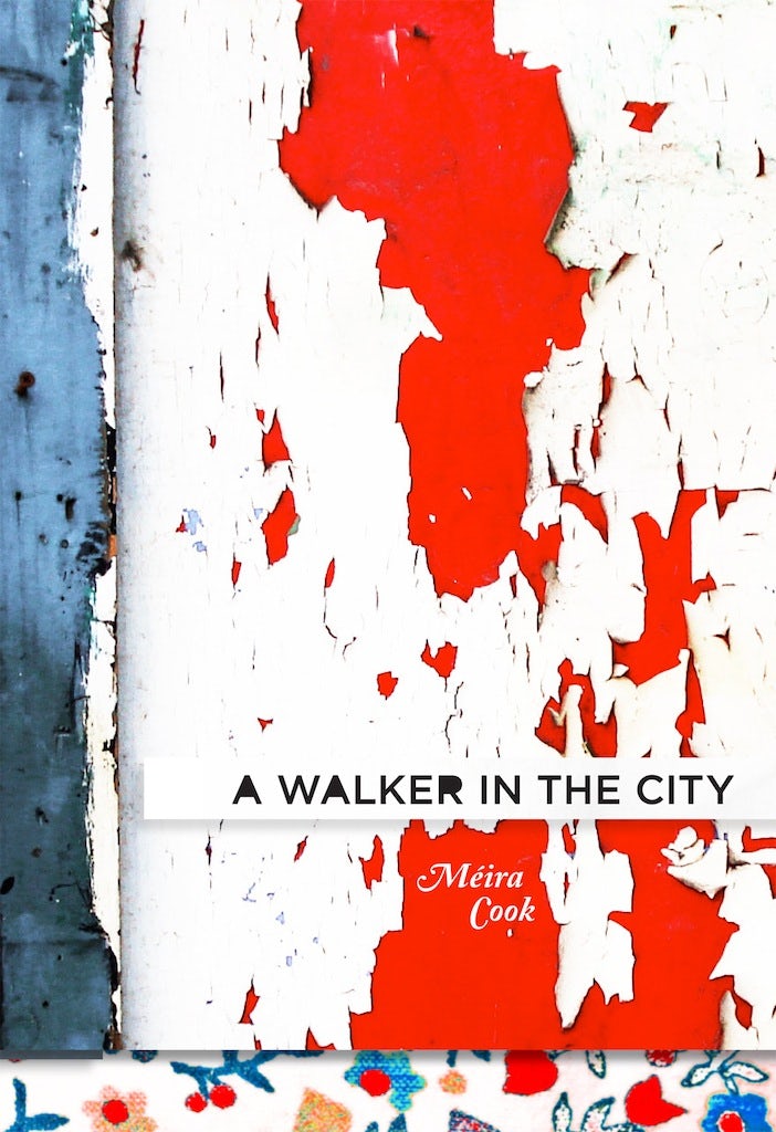 Book cover image for A Walker in the City ISBN: 9781926829722