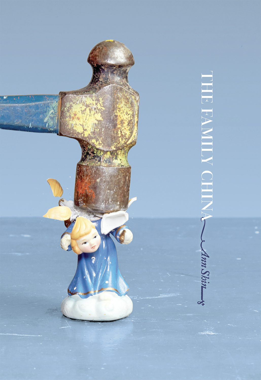 Book cover image for The Family China ISBN: 9781926829807