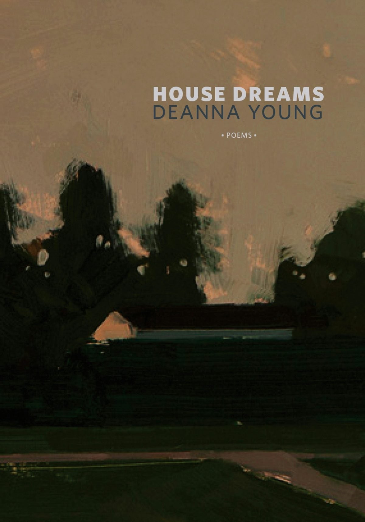 Book cover image for House Dreams ISBN: 9781926829913