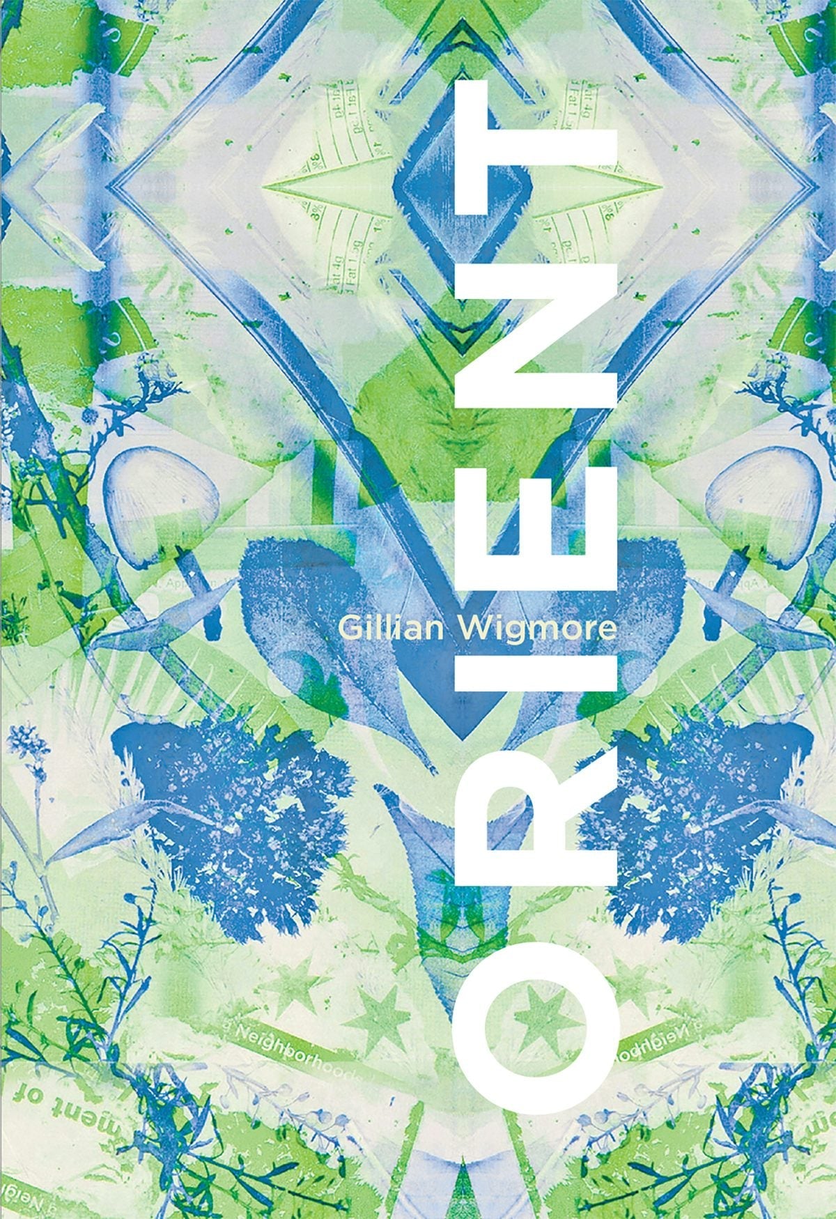 Book cover image for orient ISBN: 9781926829920