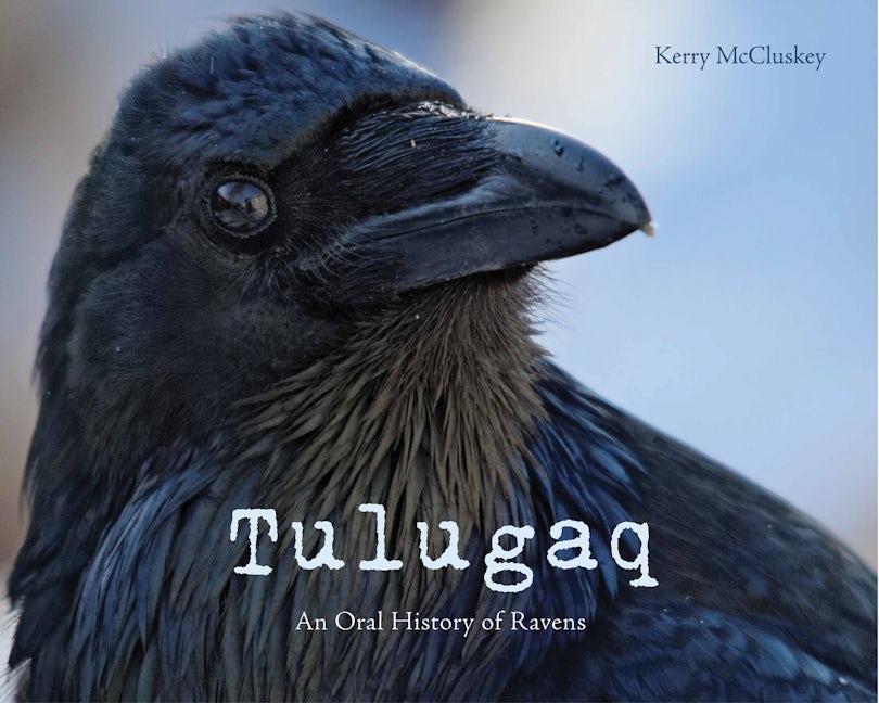 Book cover image for Tulugaq ISBN: 9781927095157