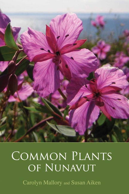 Book cover image for Common Plants of Nunavut ISBN: 9781927095195