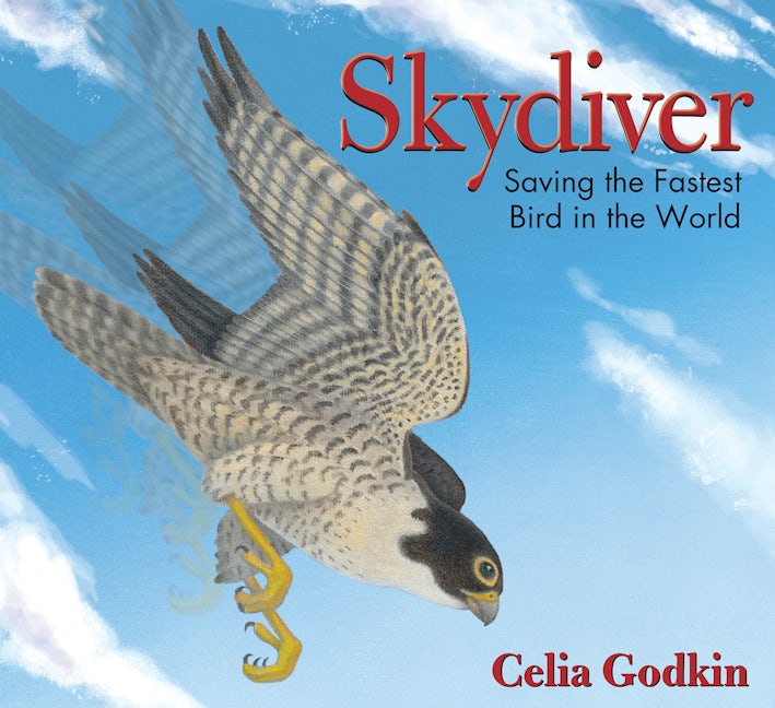 Book cover image for Skydiver ISBN: 9781927485613