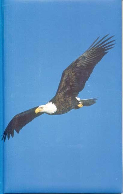 Cover image for Eagle Blank Journal, isbn: 9781932472134