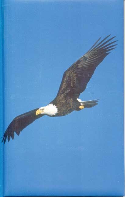 Cover image for Eagle Blank Journal, isbn: 9781932472134