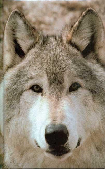 Cover image for Wolf Blank Journal, isbn: 9781932472219