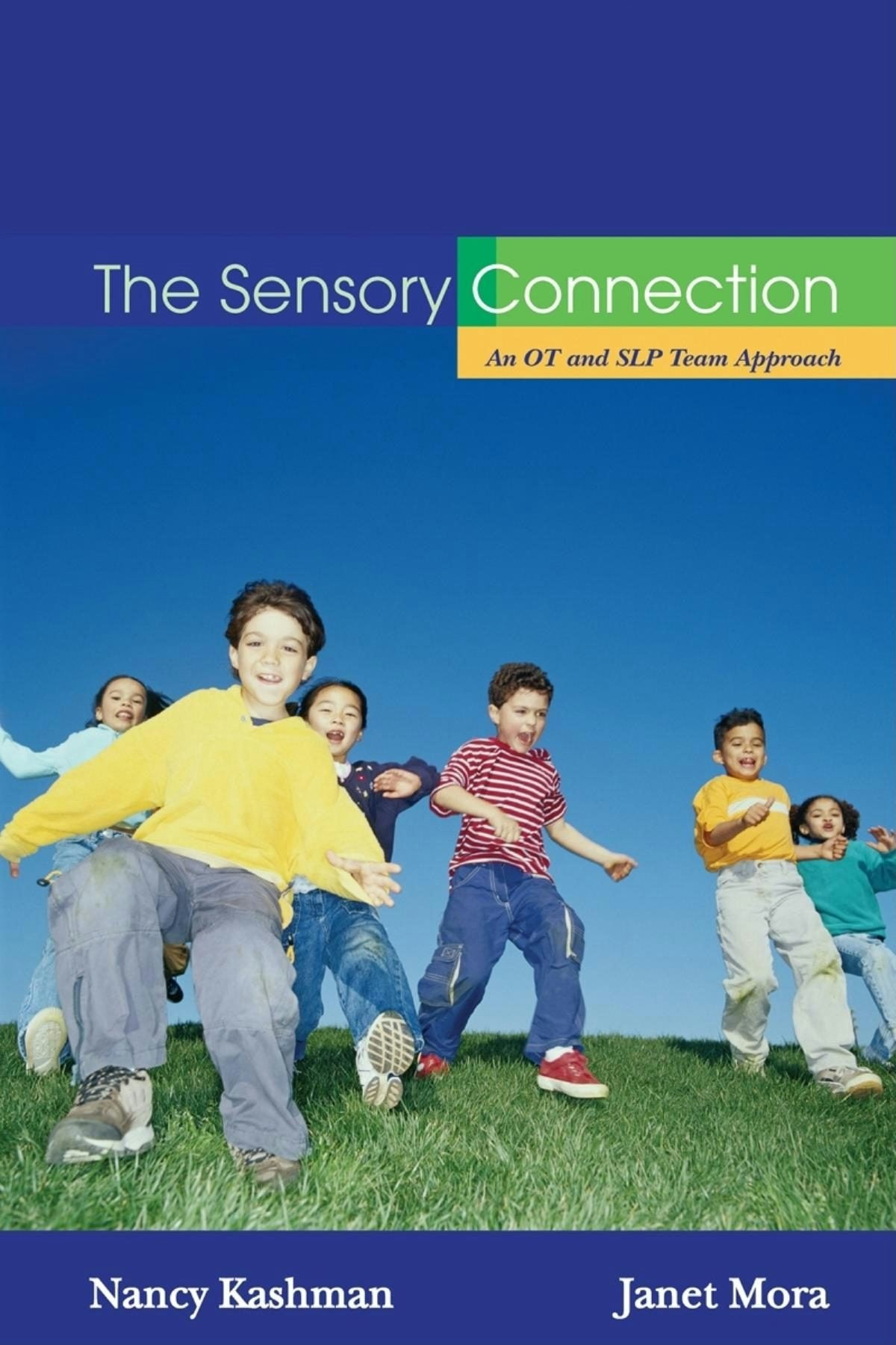 Book cover image for The Sensory Connection ISBN: 9781932565485