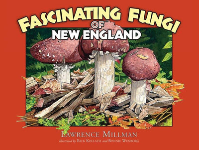 Cover image for Fascinating Fungi of New England, isbn: 9781936571017