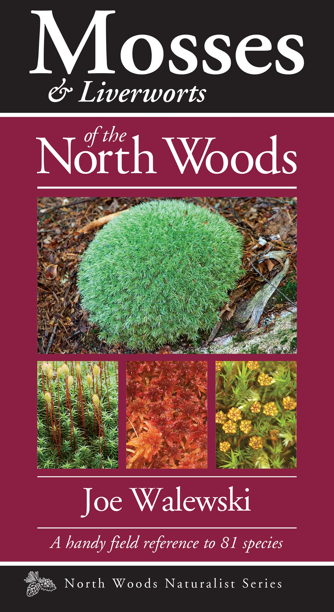 Cover image for Mosses & Liverworts of the North Woods ISBN 9781936571079
