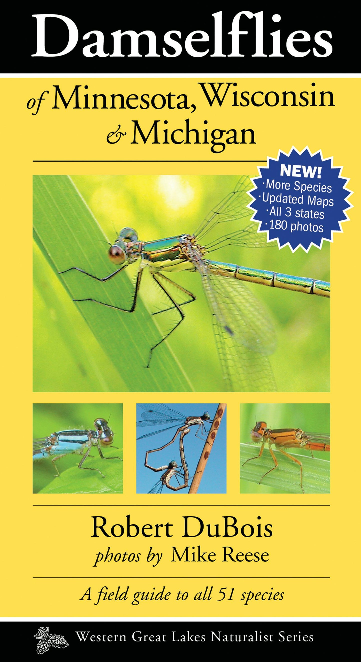 Book cover image for Damselflies of Minnesota, Wisconsin & Michigan ISBN: 9781936571130