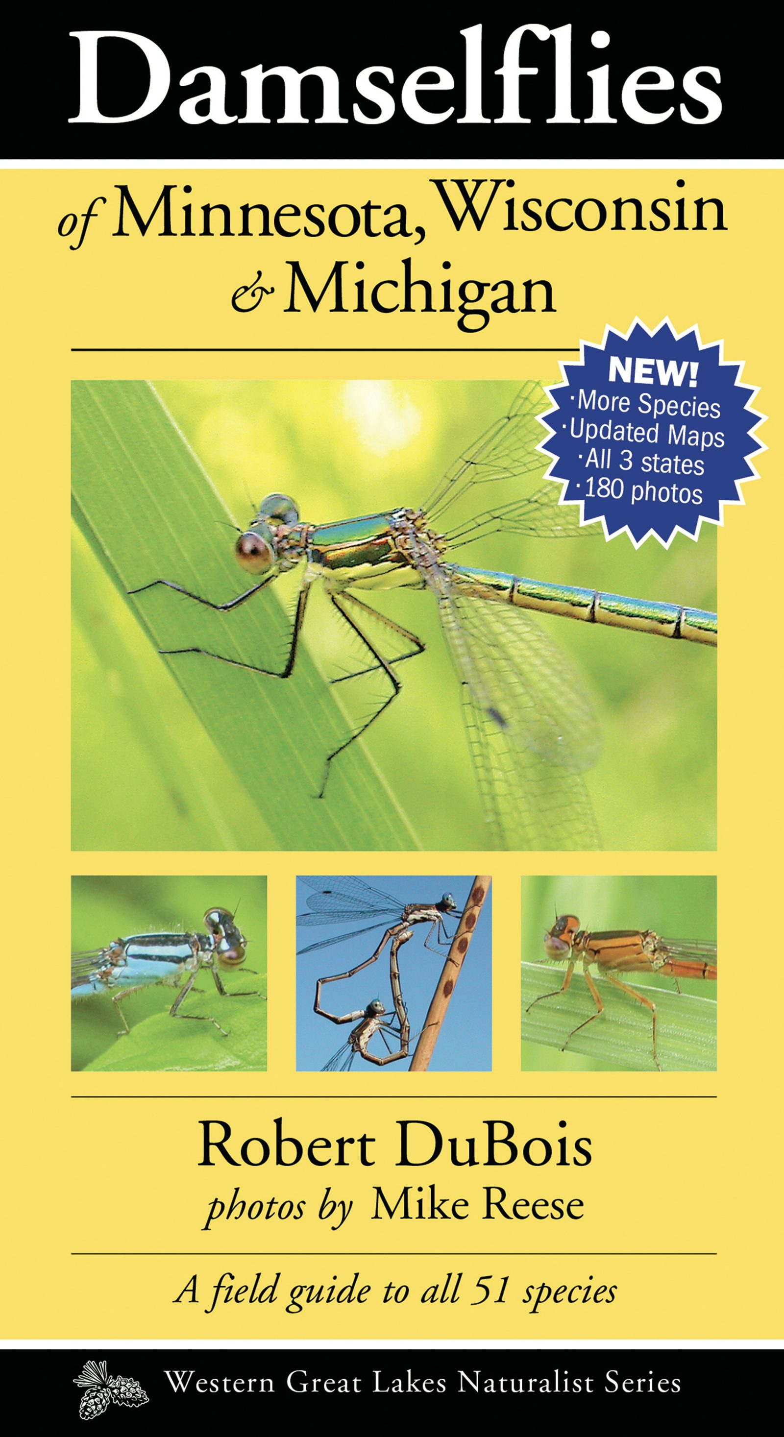 Book cover image for Damselflies of Minnesota, Wisconsin & Michigan ISBN: 9781936571130