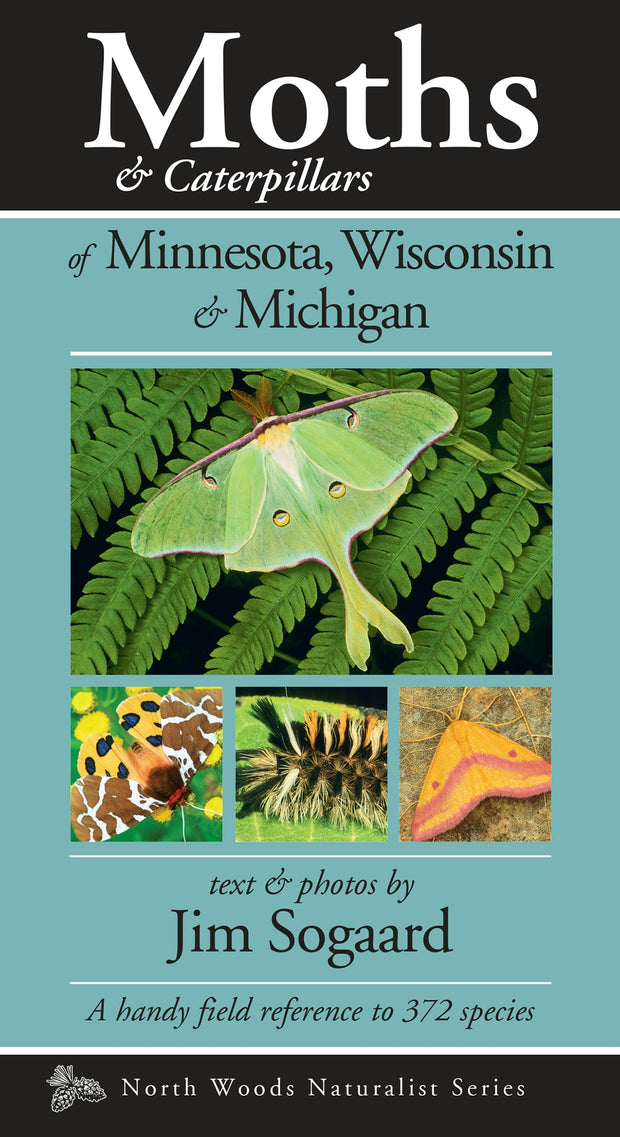 Cover image for Moths & Caterpillars of Minnesota, Wisconsin & Michigan, isbn: 9781936571178