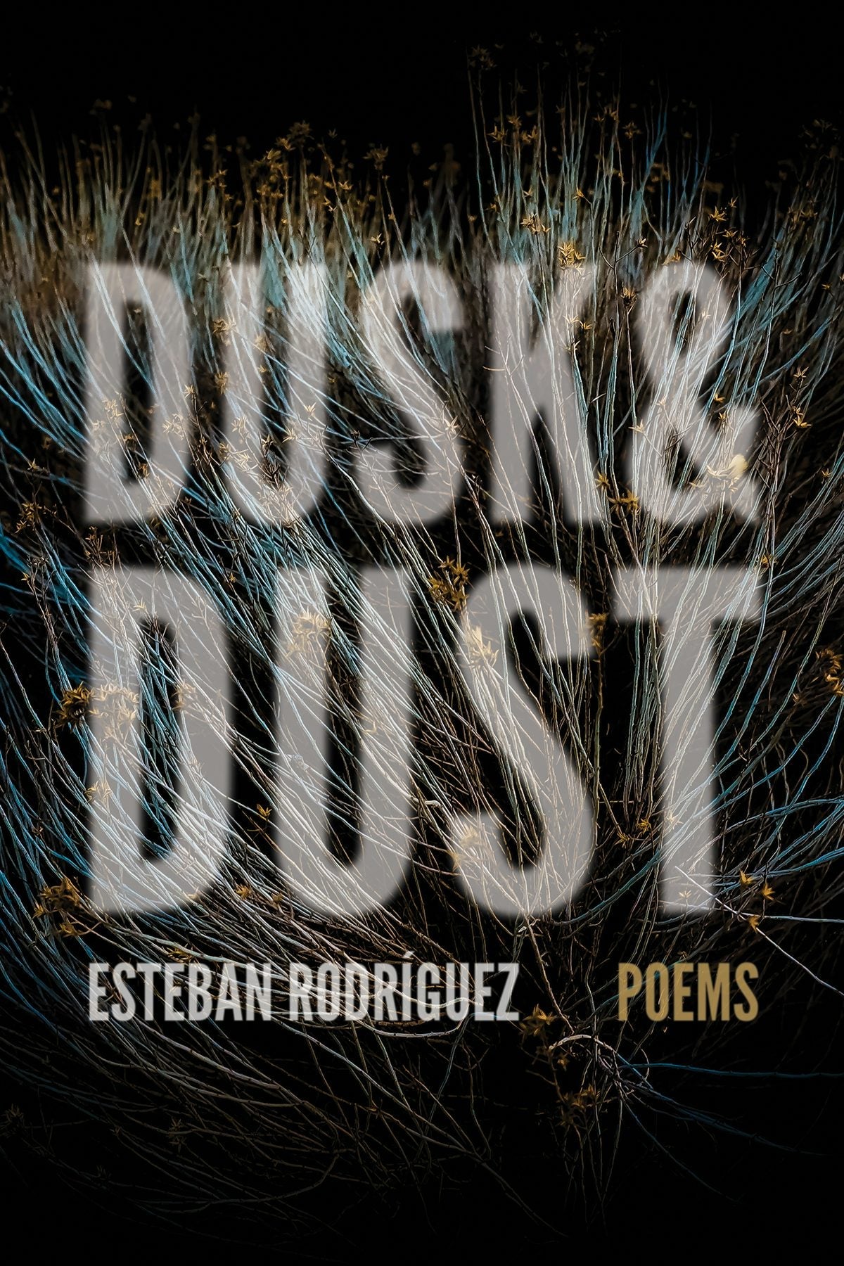 Book cover image for Dusk & Dust ISBN: 9781938235566