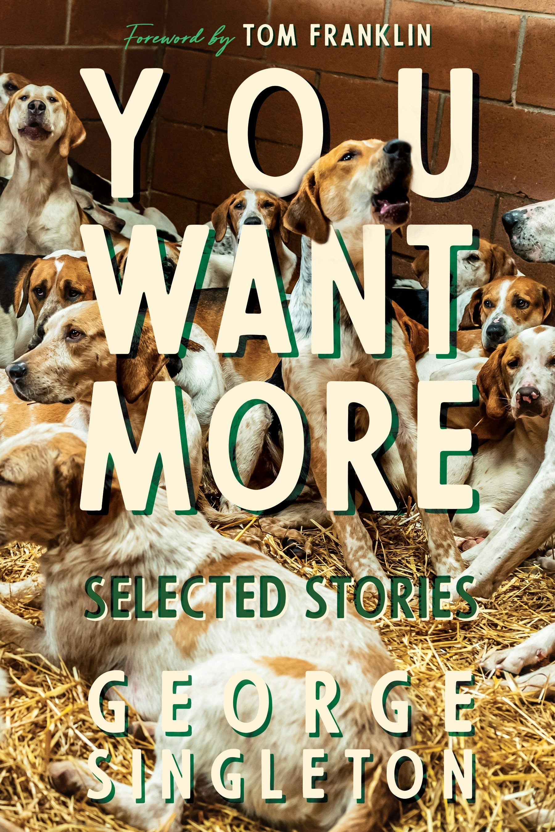 Book cover image for You Want More ISBN: 9781938235696