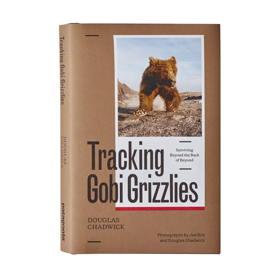 Cover image for Tracking Gobi Grizzlies ISBN 9781938340635