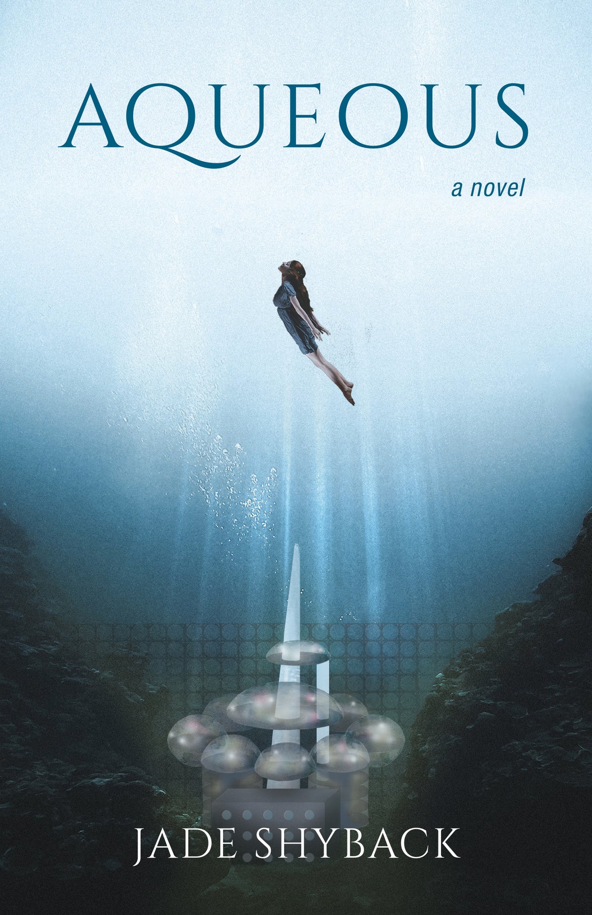 Cover image for Aqueous ISBN 9781939096104