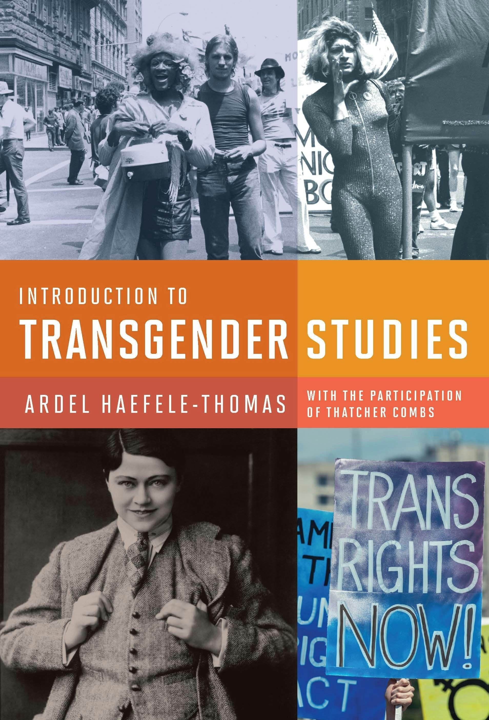 Book cover image for Introduction to Transgender Studies ISBN: 9781939594273