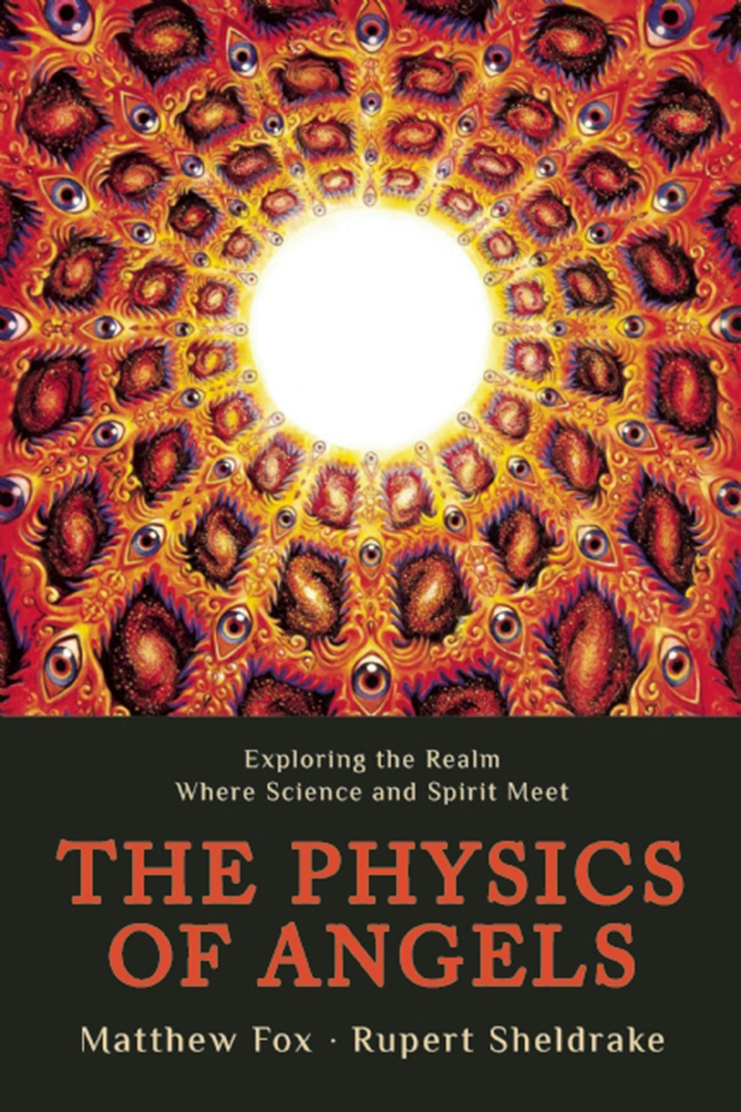 Book cover image for The Physics of Angels ISBN: 9781939681294