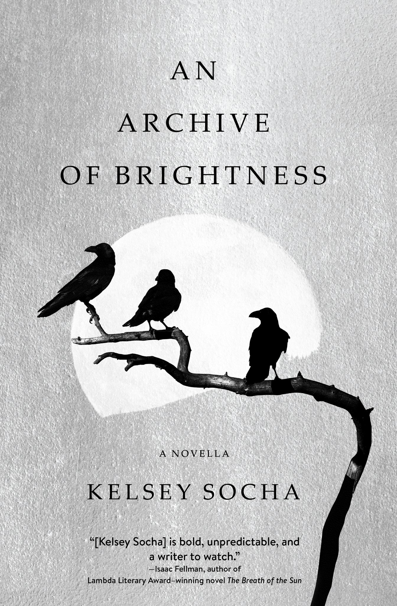 Cover image for An Archive of Brightness ISBN 9781941360651