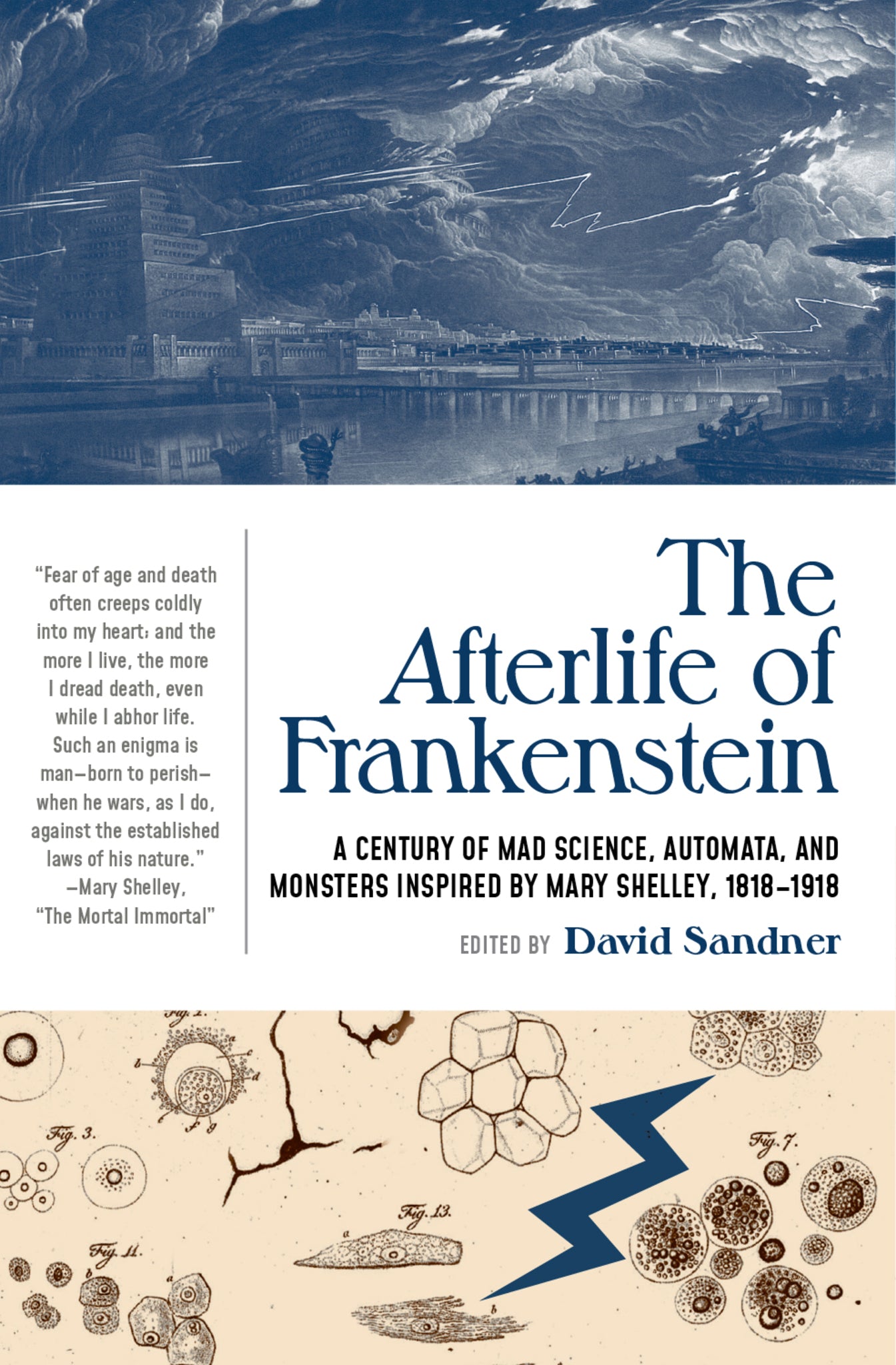 Cover image for The Afterlife of Frankenstein ISBN 9781941360798