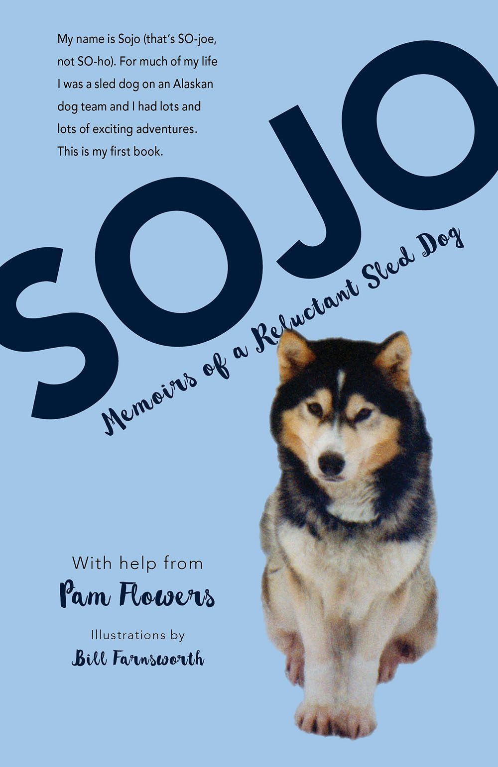 Book cover image for Sojo ISBN: 9781943328536