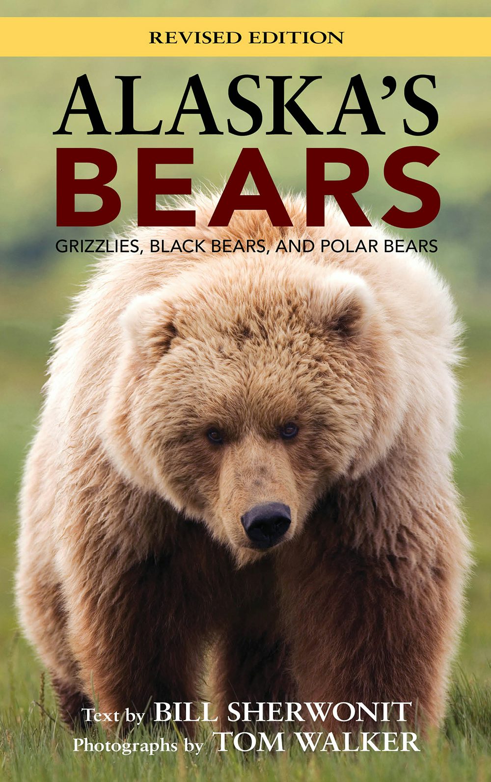 Book cover image for Alaska's Bears ISBN: 9781943328581