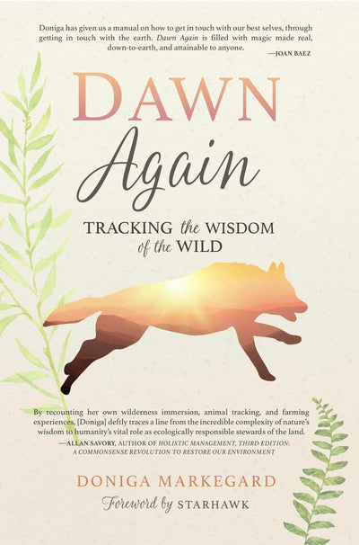 Cover image for Dawn Again, isbn: 9781943370146