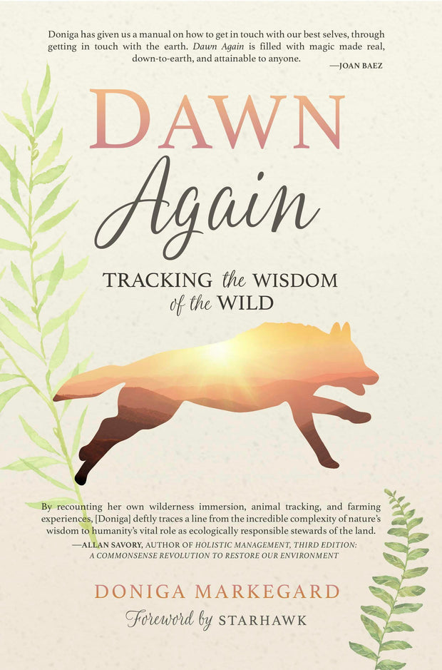 Cover image for Dawn Again, isbn: 9781943370146