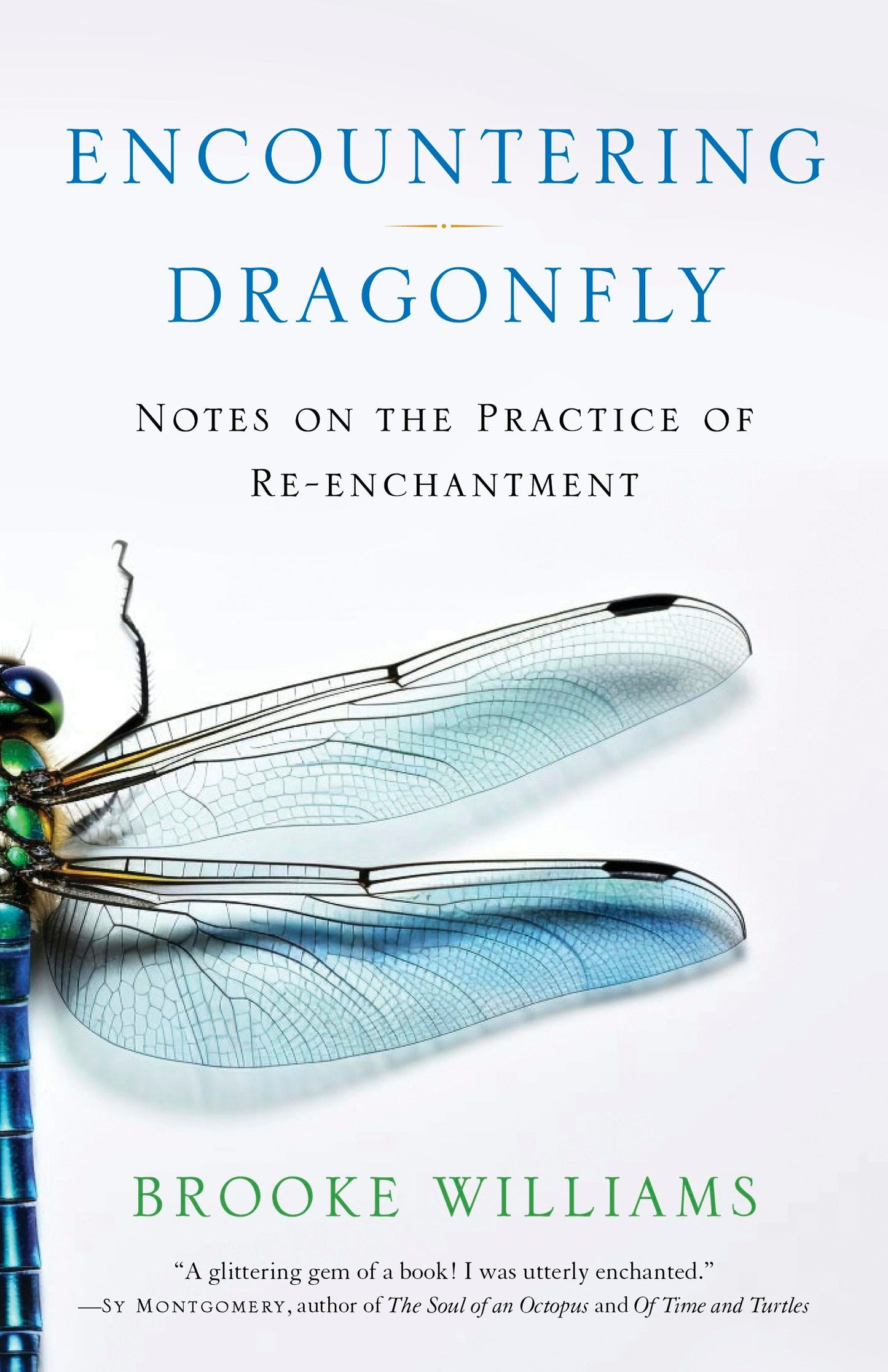 Book cover image for Encountering Dragonfly ISBN: 9781943370306
