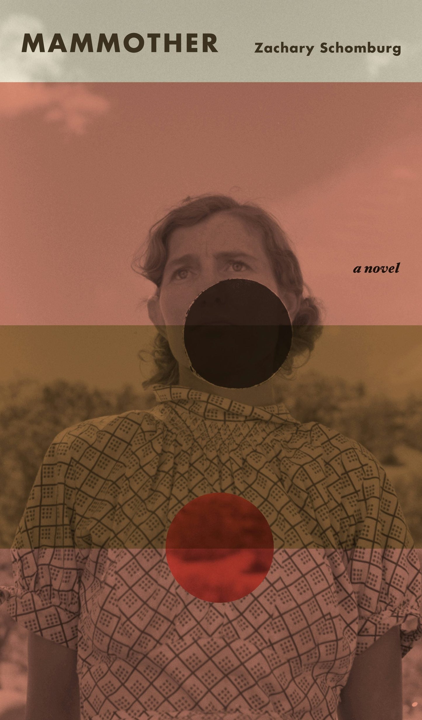 Book cover image for Mammother ISBN: 9781943888108
