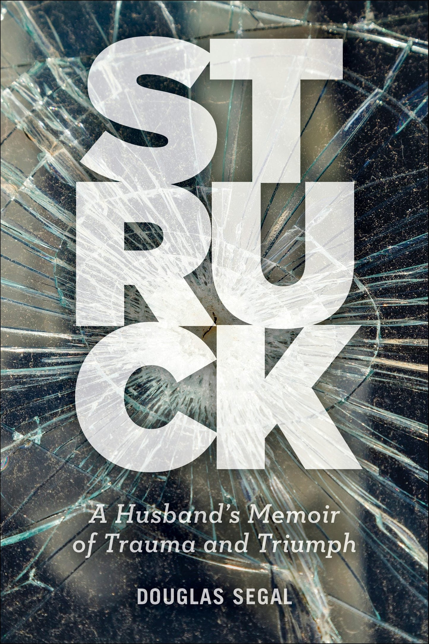 Book cover image for Struck ISBN: 9781945551383