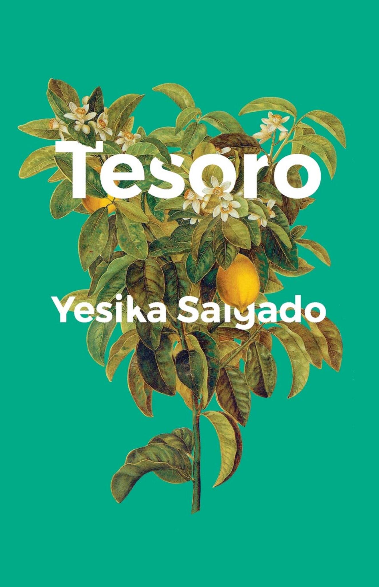 Cover image for Tesoro ISBN 9781945649240