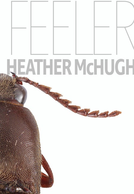 Book cover image for Feeler ISBN: 9781946448422