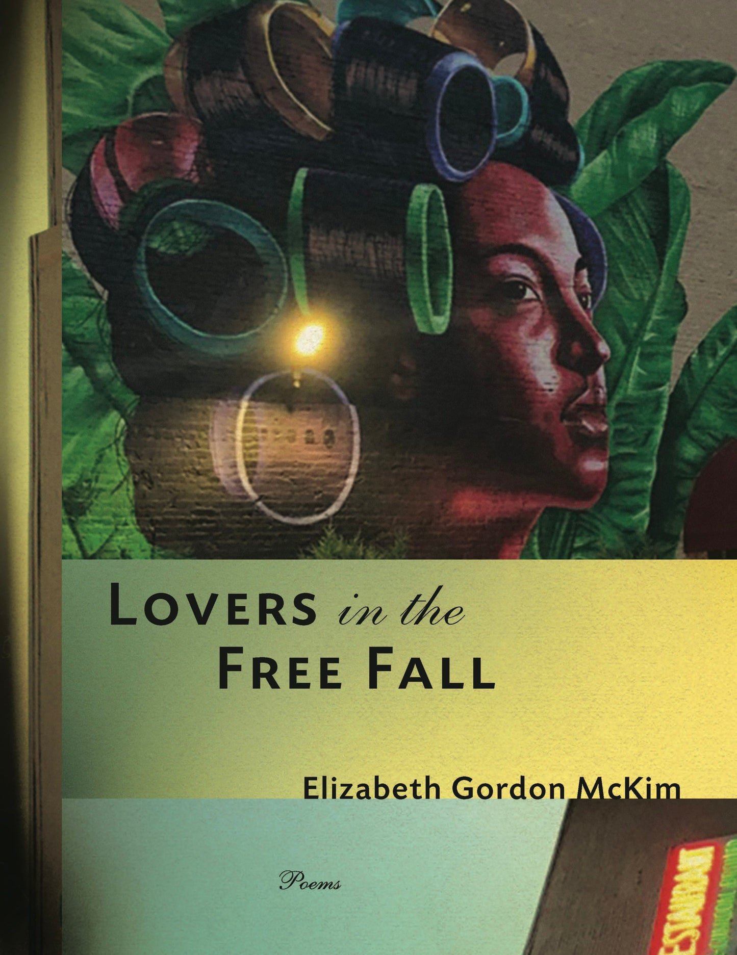 Book cover image for Lovers in the Free Fall ISBN: 9781948585118