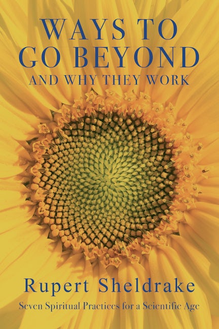 Book cover image for Ways to Go Beyond and Why They Work ISBN: 9781948626125