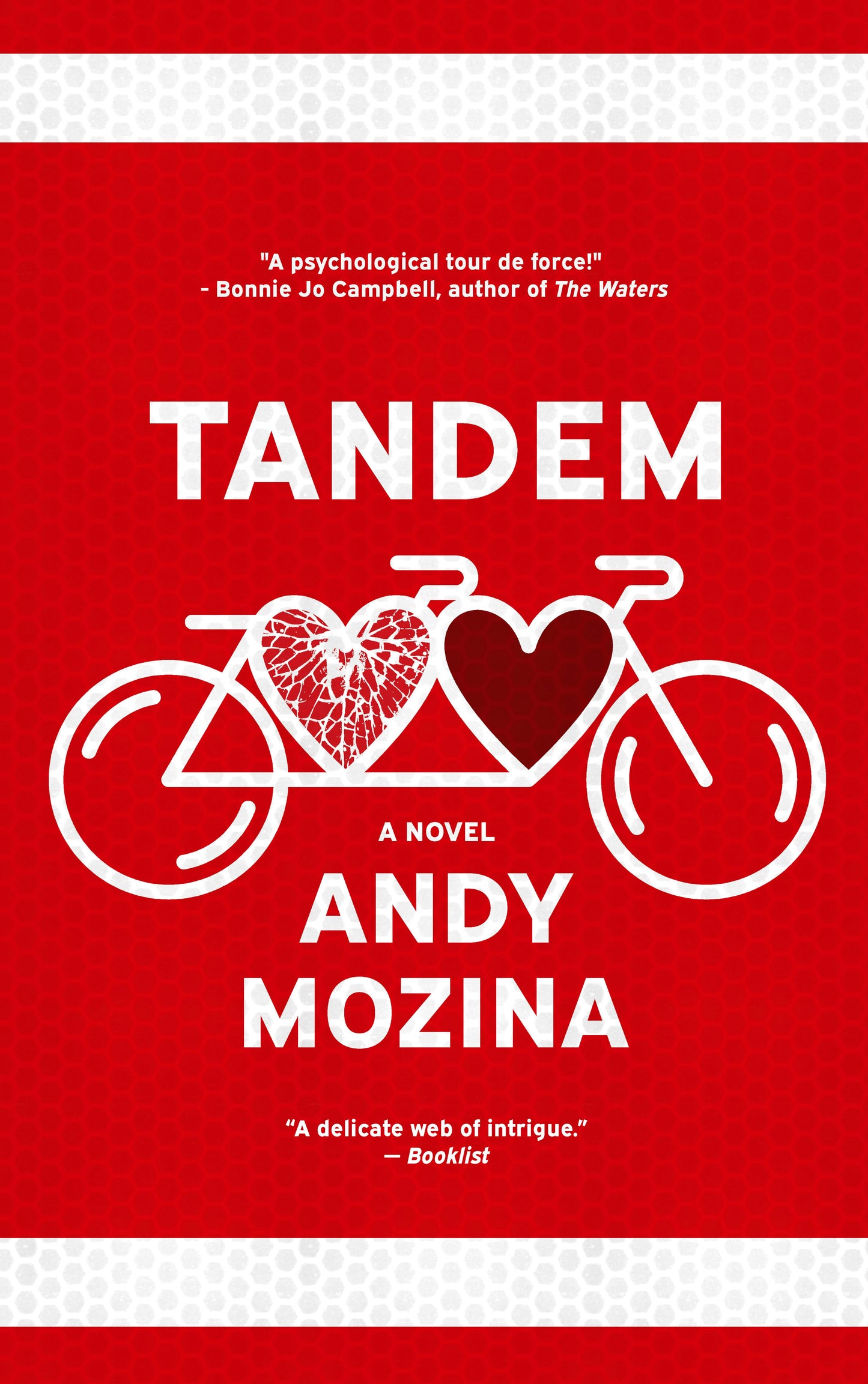 Book cover image for Tandem ISBN: 9781948954839