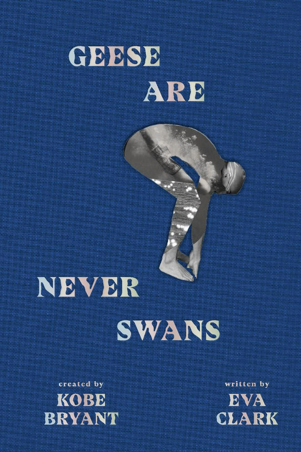 Cover image for Geese Are Never Swans, isbn: 9781949520057