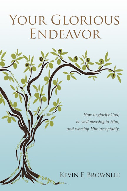 Book cover image for Your Glorious Endeavor ISBN: 9781949572612