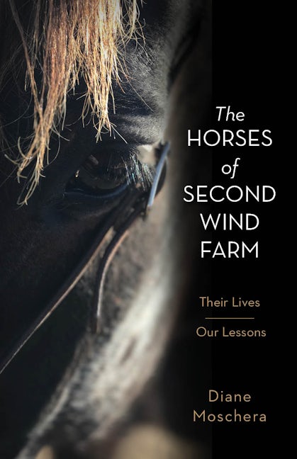 Book cover image for The Horses of Second Wind Farm ISBN: 9781952025297