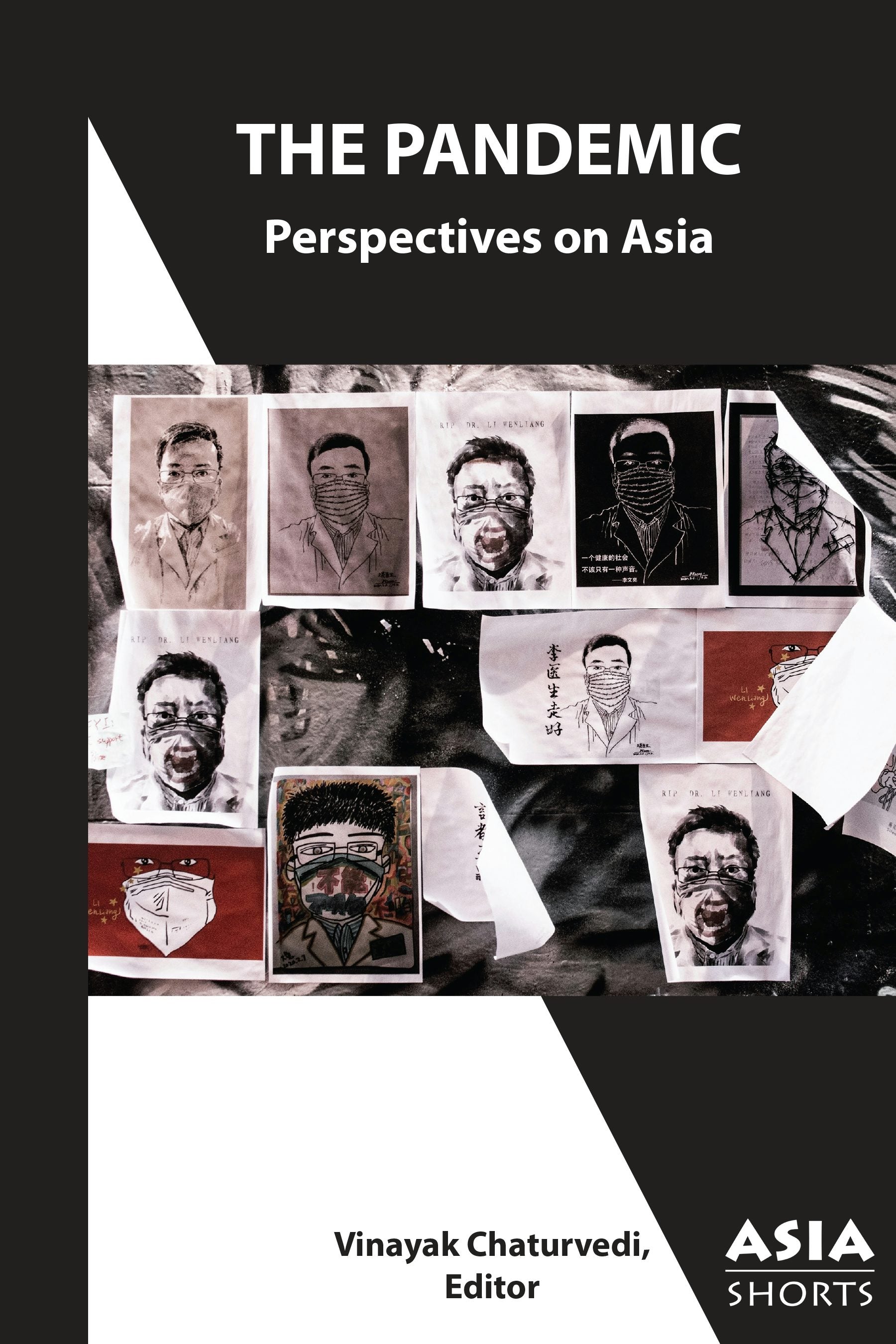 Book cover image for The Pandemic ISBN: 9781952636172