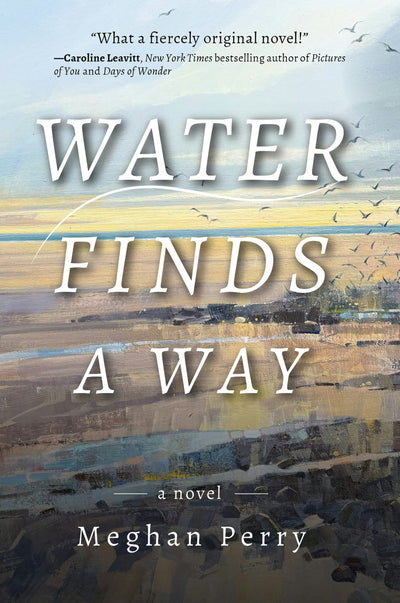 Cover image for Water Finds a Way a novel, isbn: 9781953002518